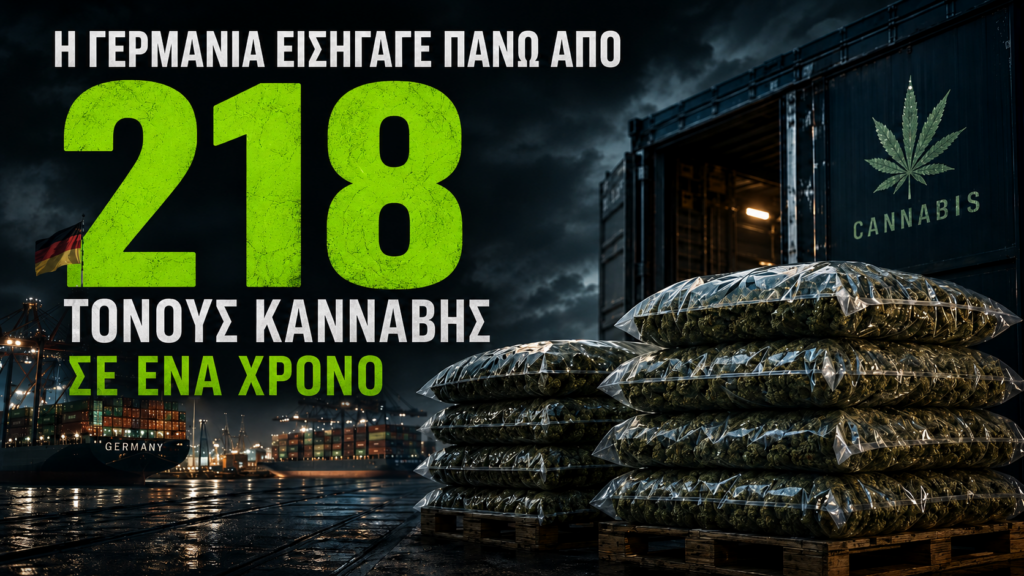 Γραφικό για τη γερμανική αγορά κάνναβης με μεγάλο αριθμό 218, λιμάνι με εμπορευματοκιβώτια και παλέτες με συσκευασμένη κάνναβη, που αναφέρει ότι η Γερμανία εισήγαγε πάνω από 218 τόνους κάνναβης σε έναν χρόνο.